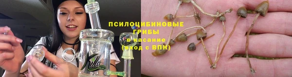 дживик Карталы